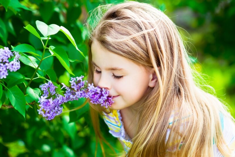 Girl Smelling Lilac — Purple