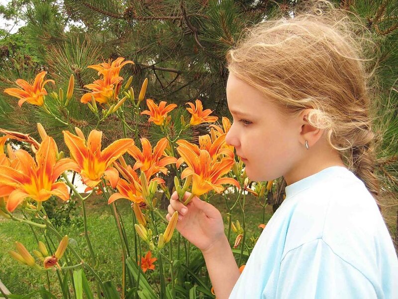 Girl Smelling Lilies