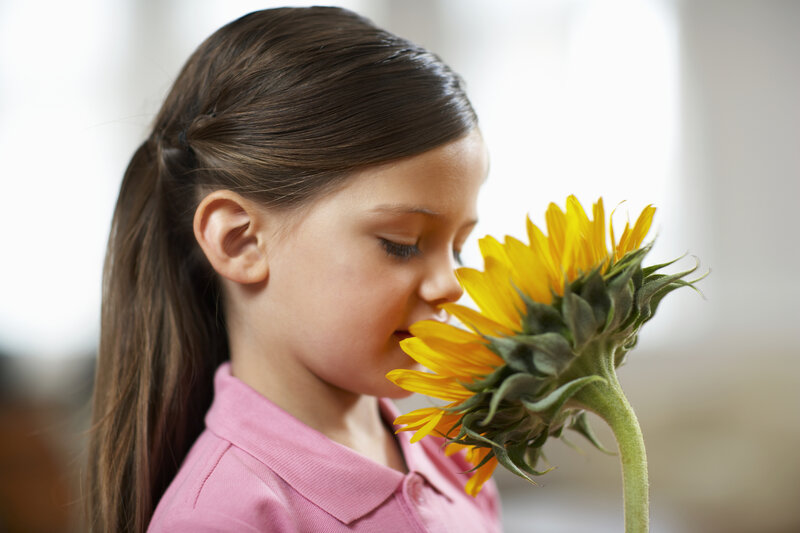 Girl Smelling Sunflower