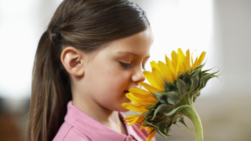 Girl Smelling Sunflower — Yellow, Calm