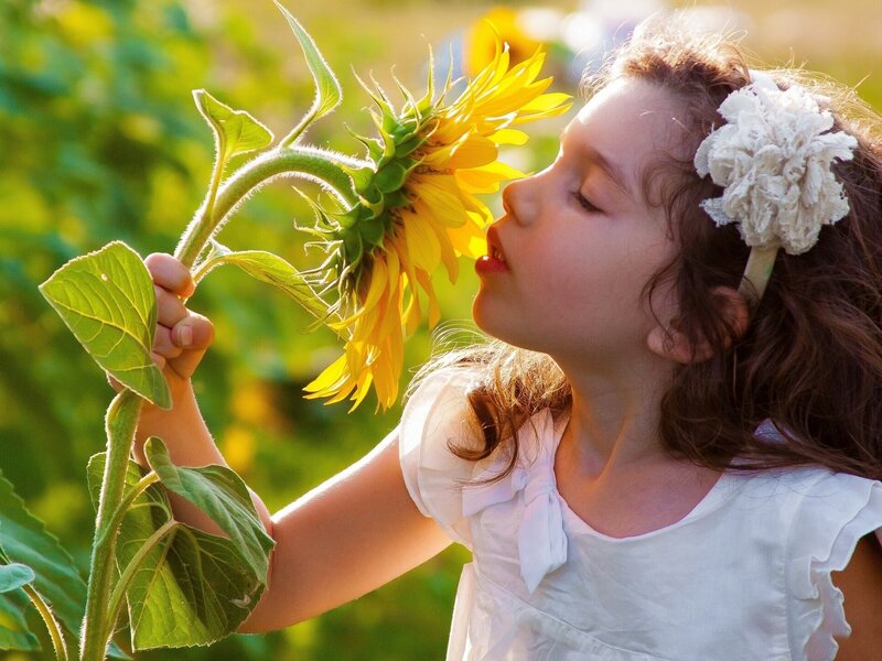 Girl Smelling Sunflower — Yellow