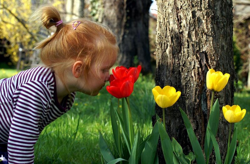 Girl Smelling Tulips