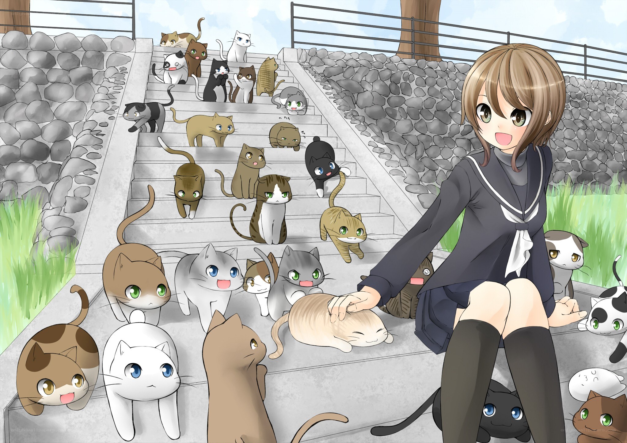 girl surrounded by cats