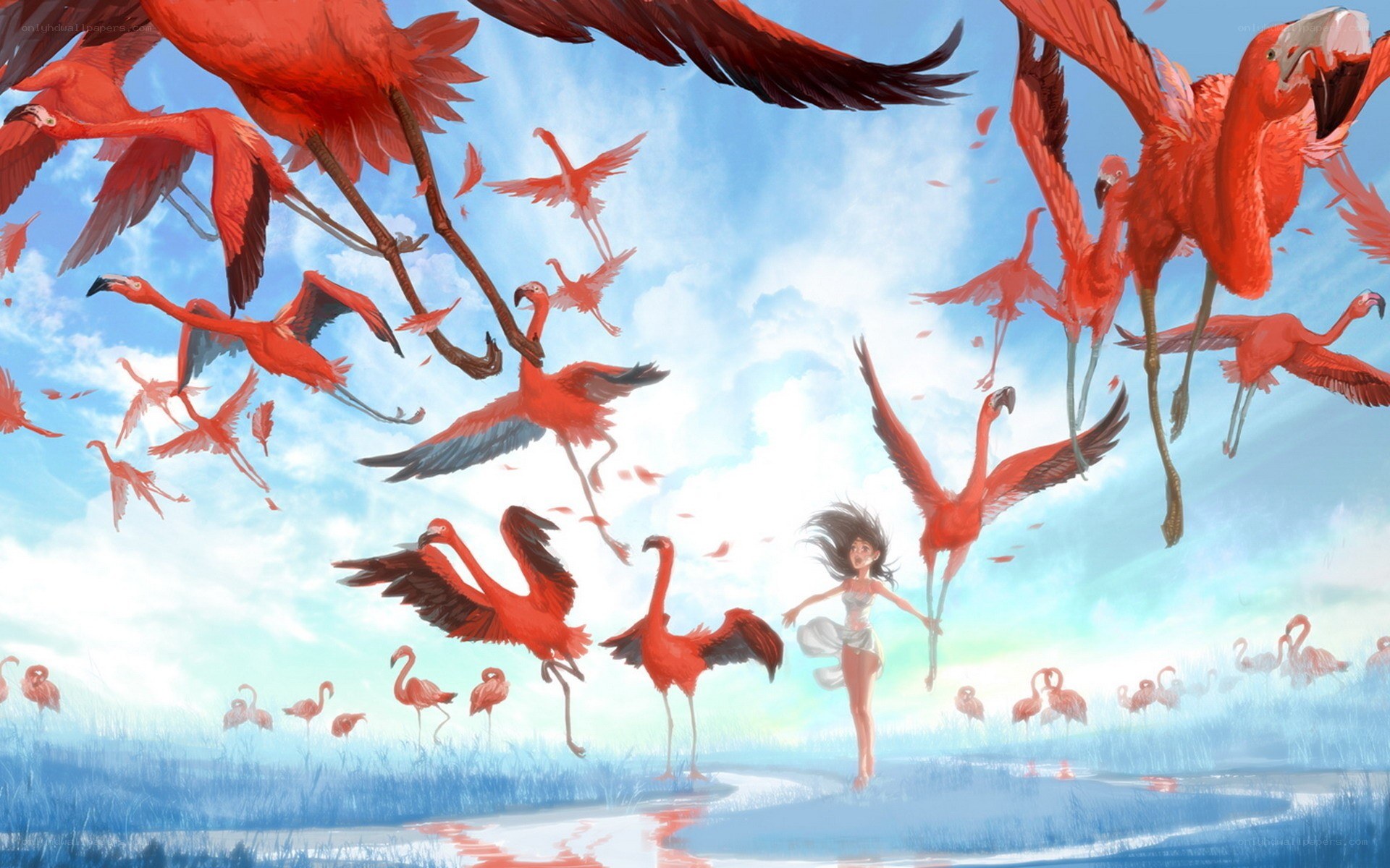 Girl surrounded by flamingos