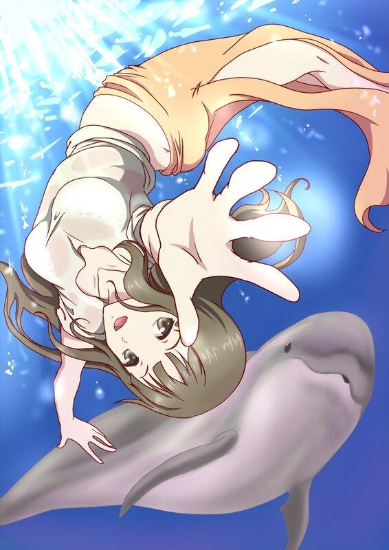 girl swimming with dolphin