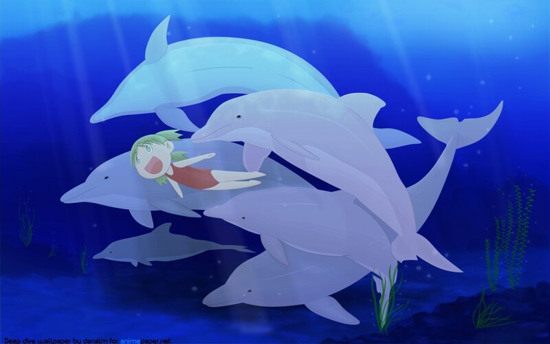 girl swimming with dolphins