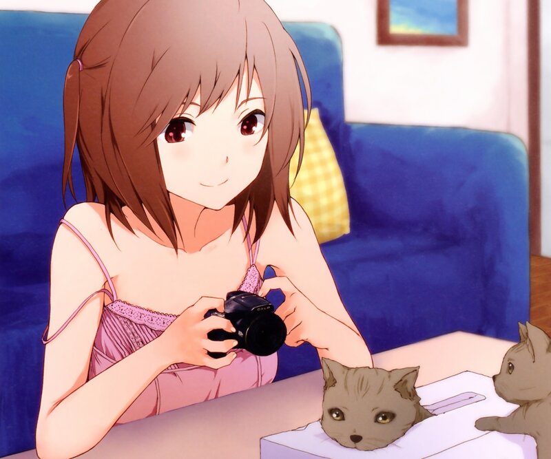 Girl taking photos of cats