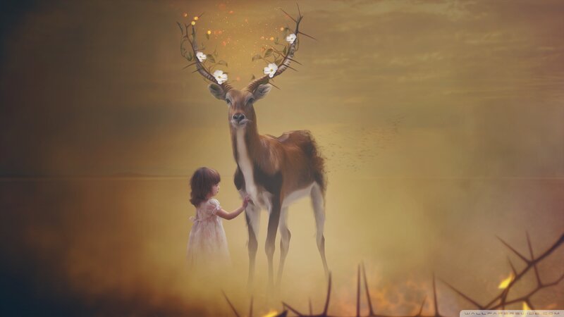 Girl Touching Deer