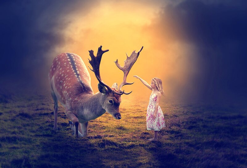 Girl Touching Deer — Yellow