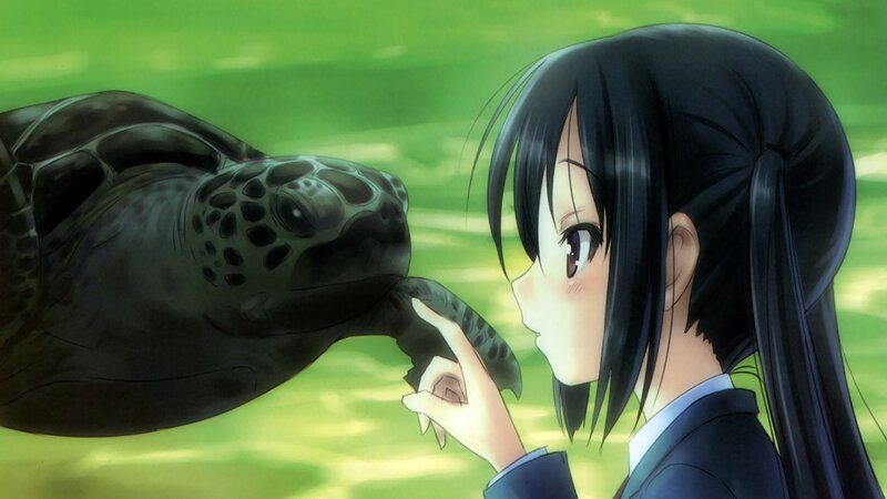 Girl Touching Sea Turtle — Green