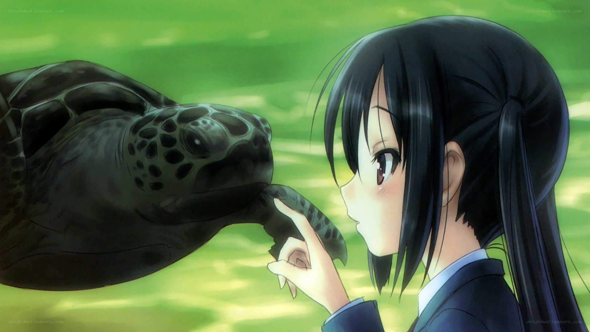 girl touching turtle underwater