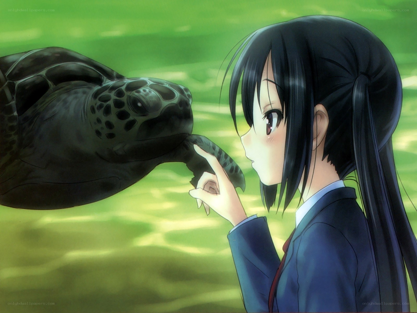girl touching turtle underwater