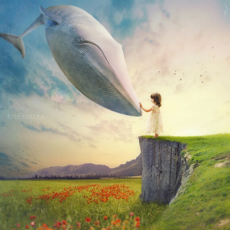 Girl Touching Whale