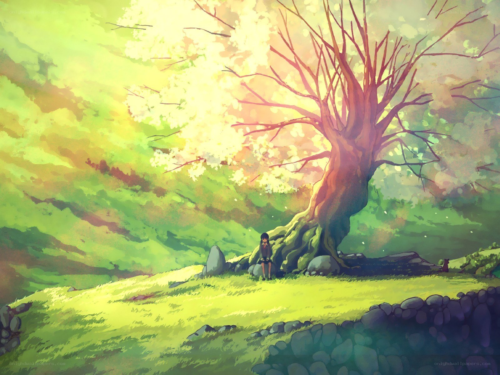 Girl under a blossoming tree