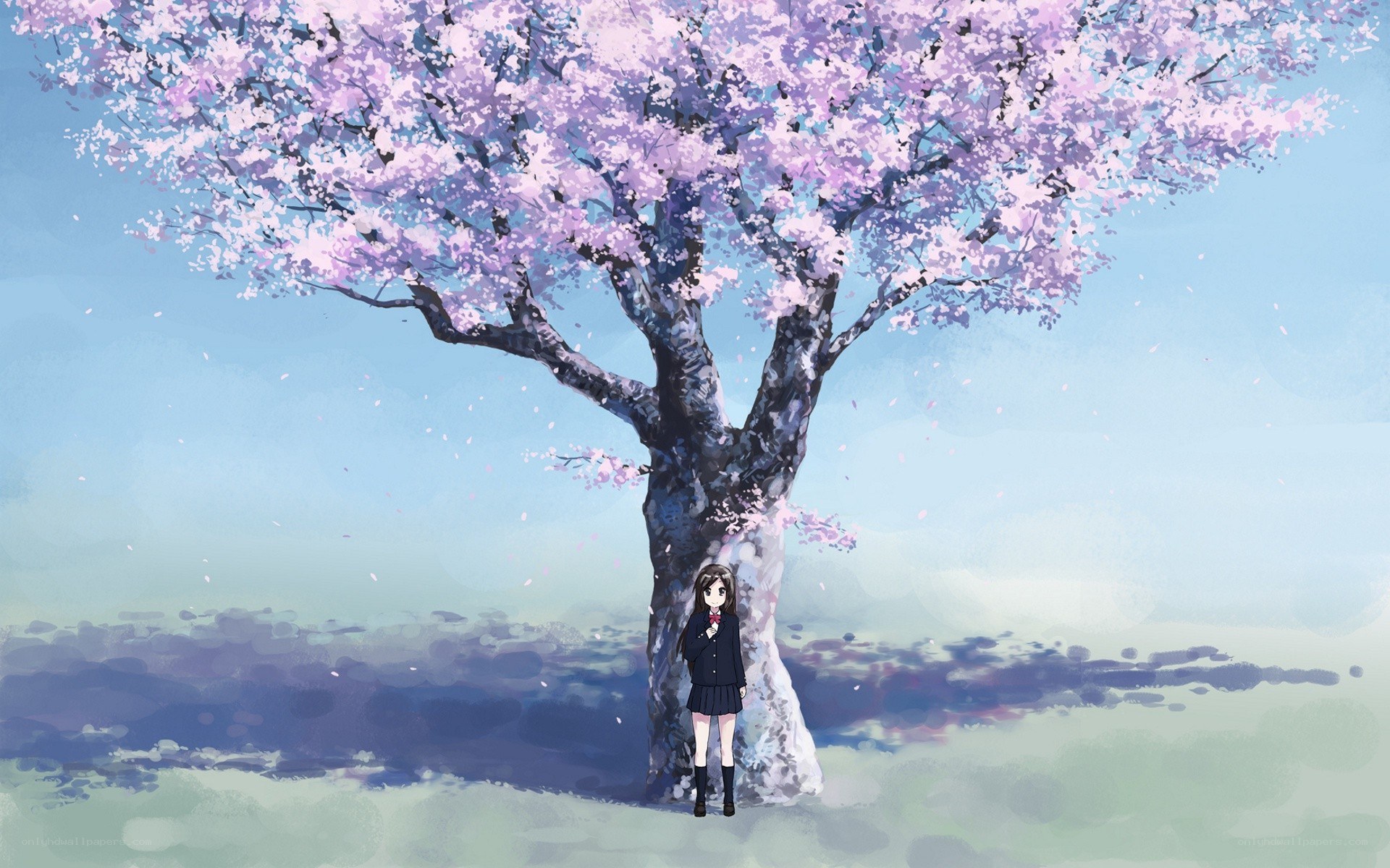 Girl under a cherry blossom tree
