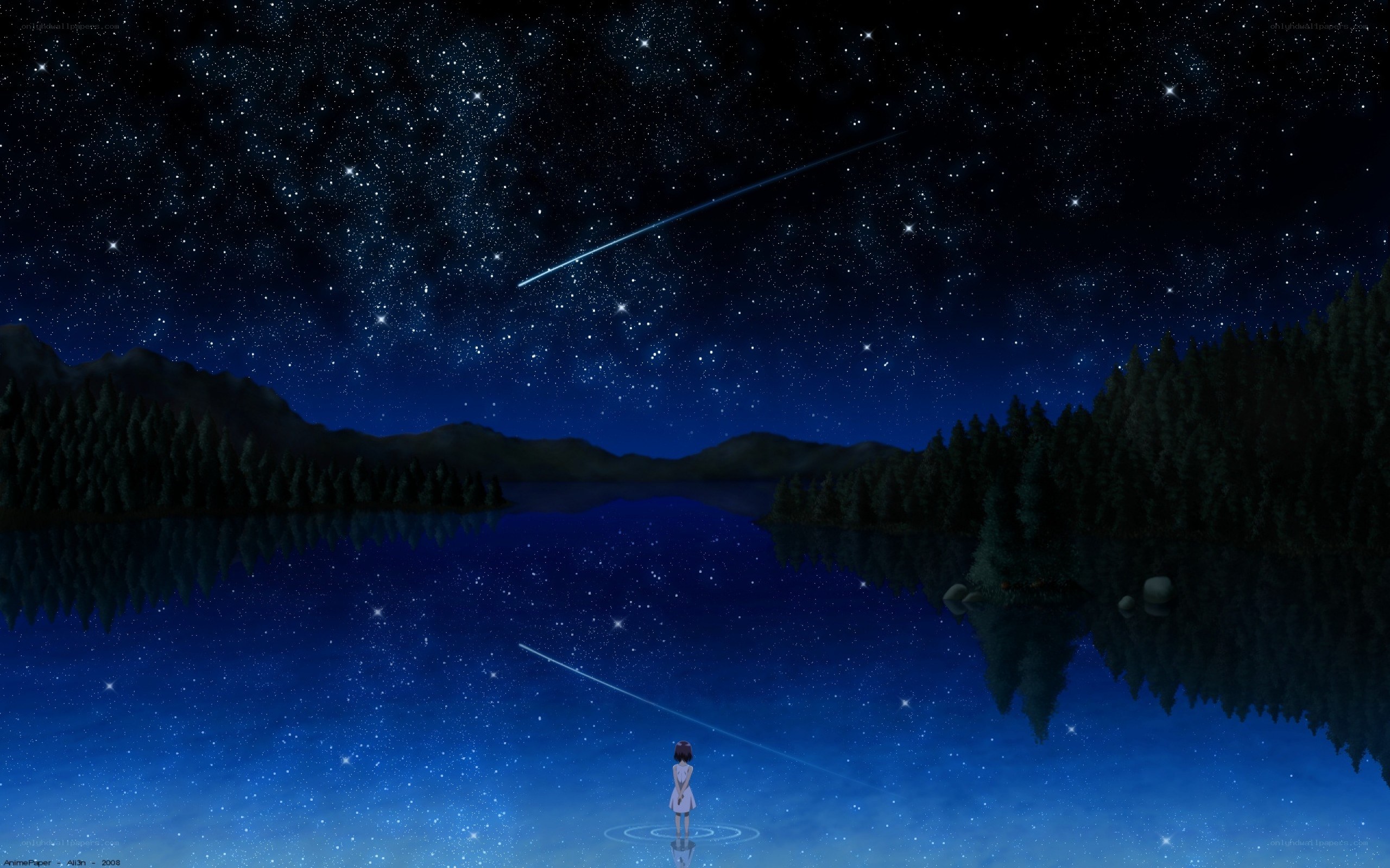 Girl under a starry sky