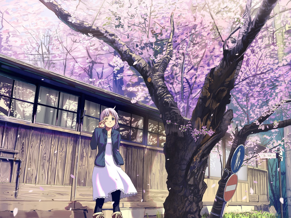 Girl under cherry blossom tree