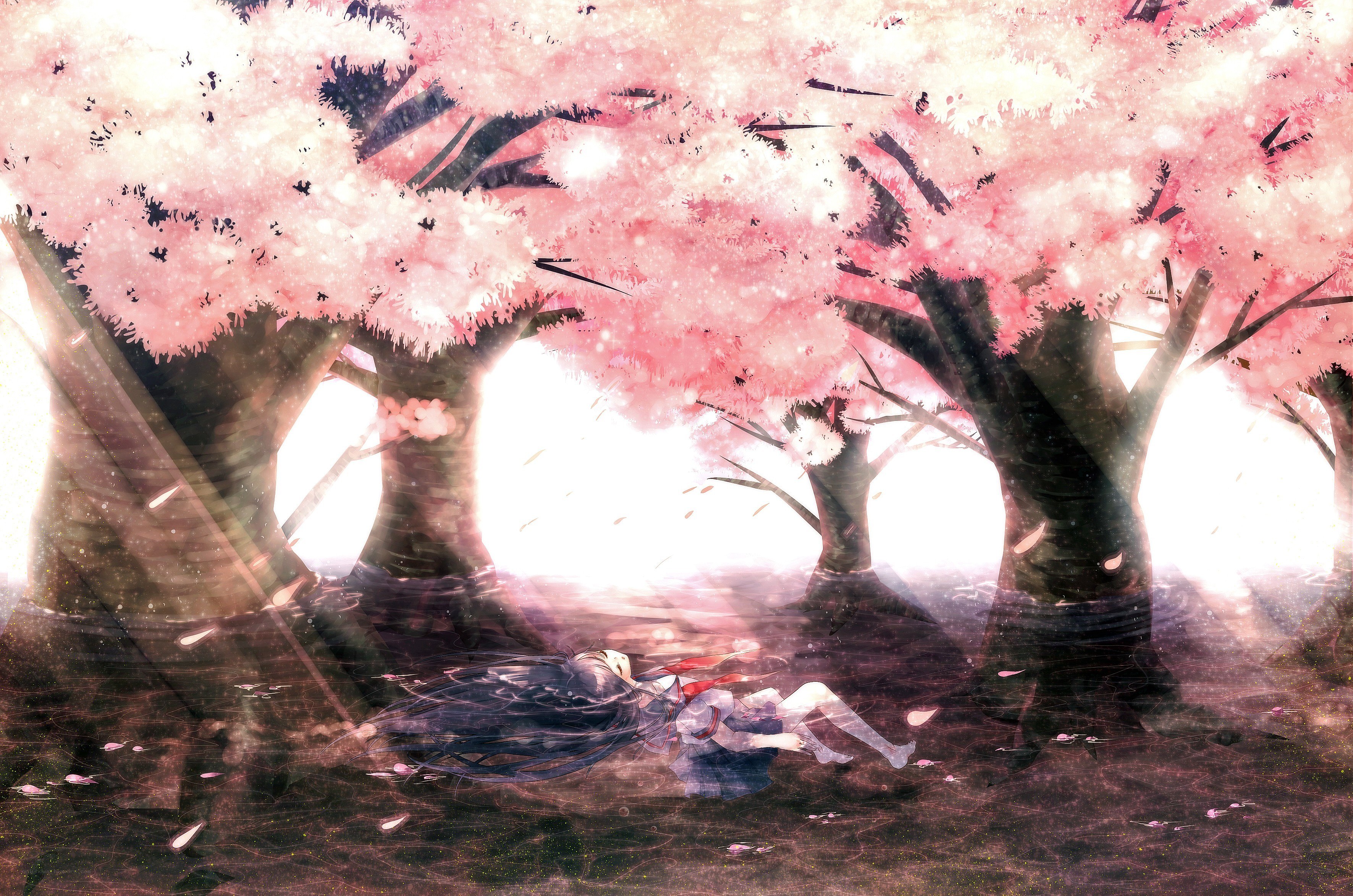 Girl under cherry blossom trees