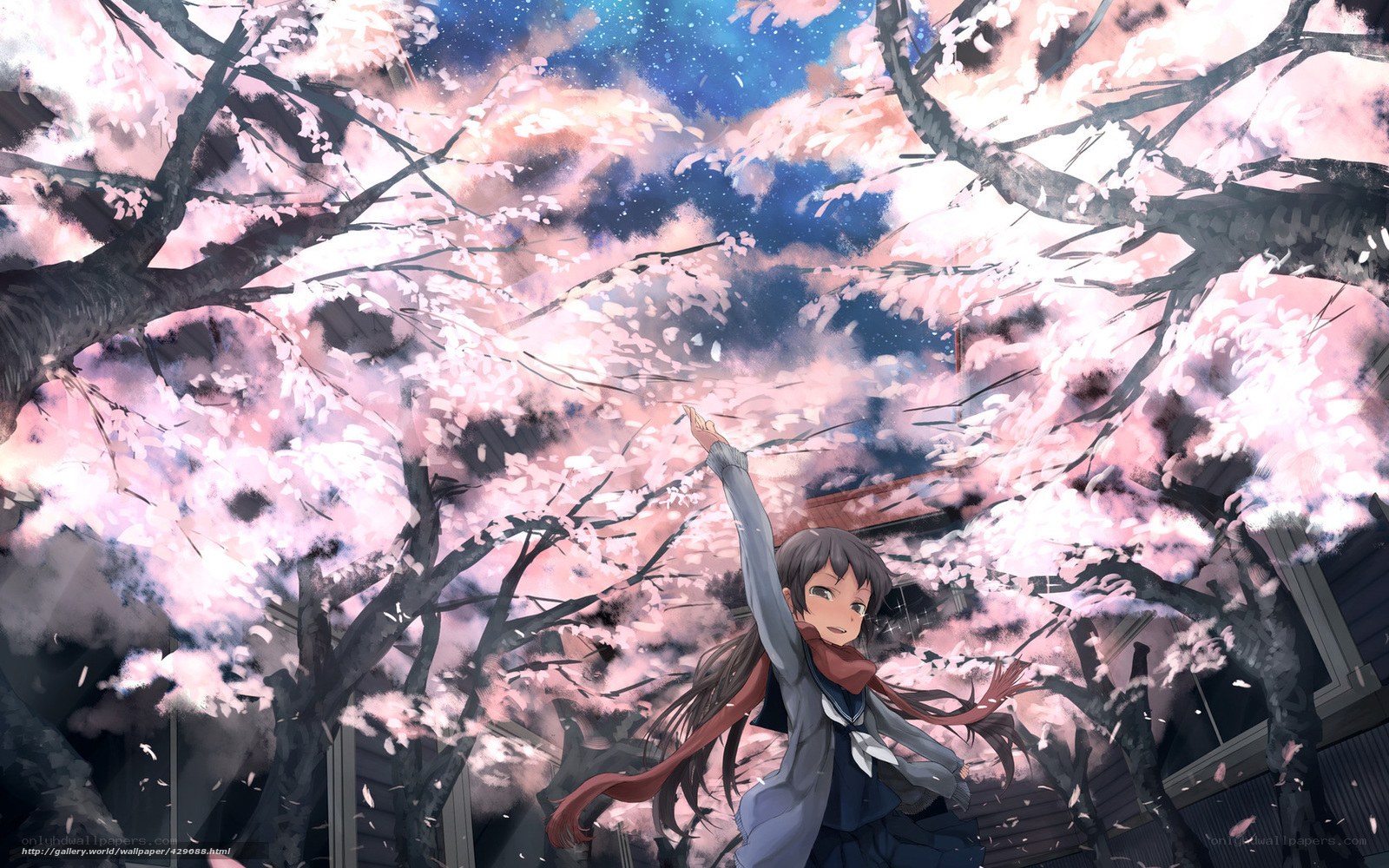 Girl under cherry blossoms