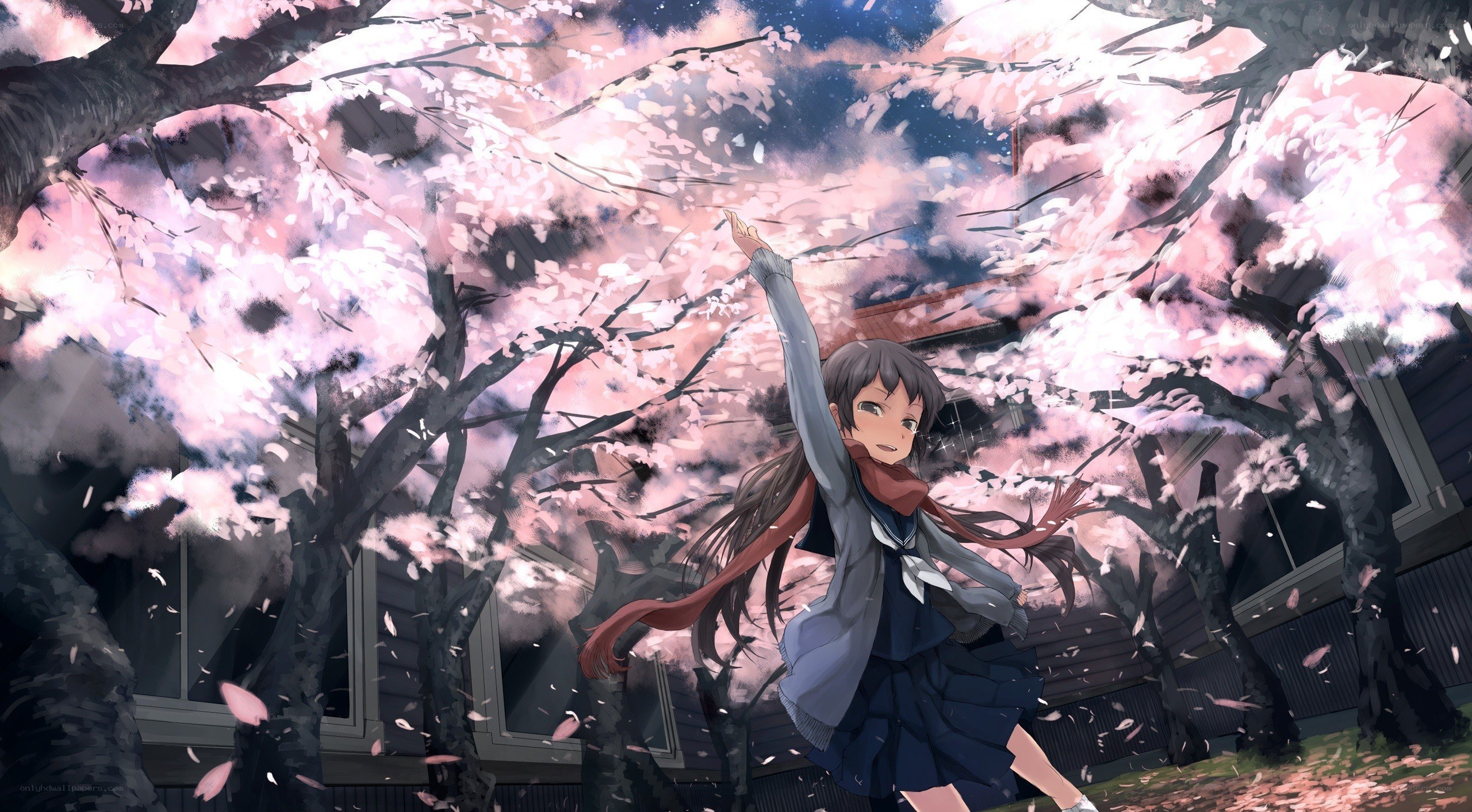 Girl under cherry blossoms