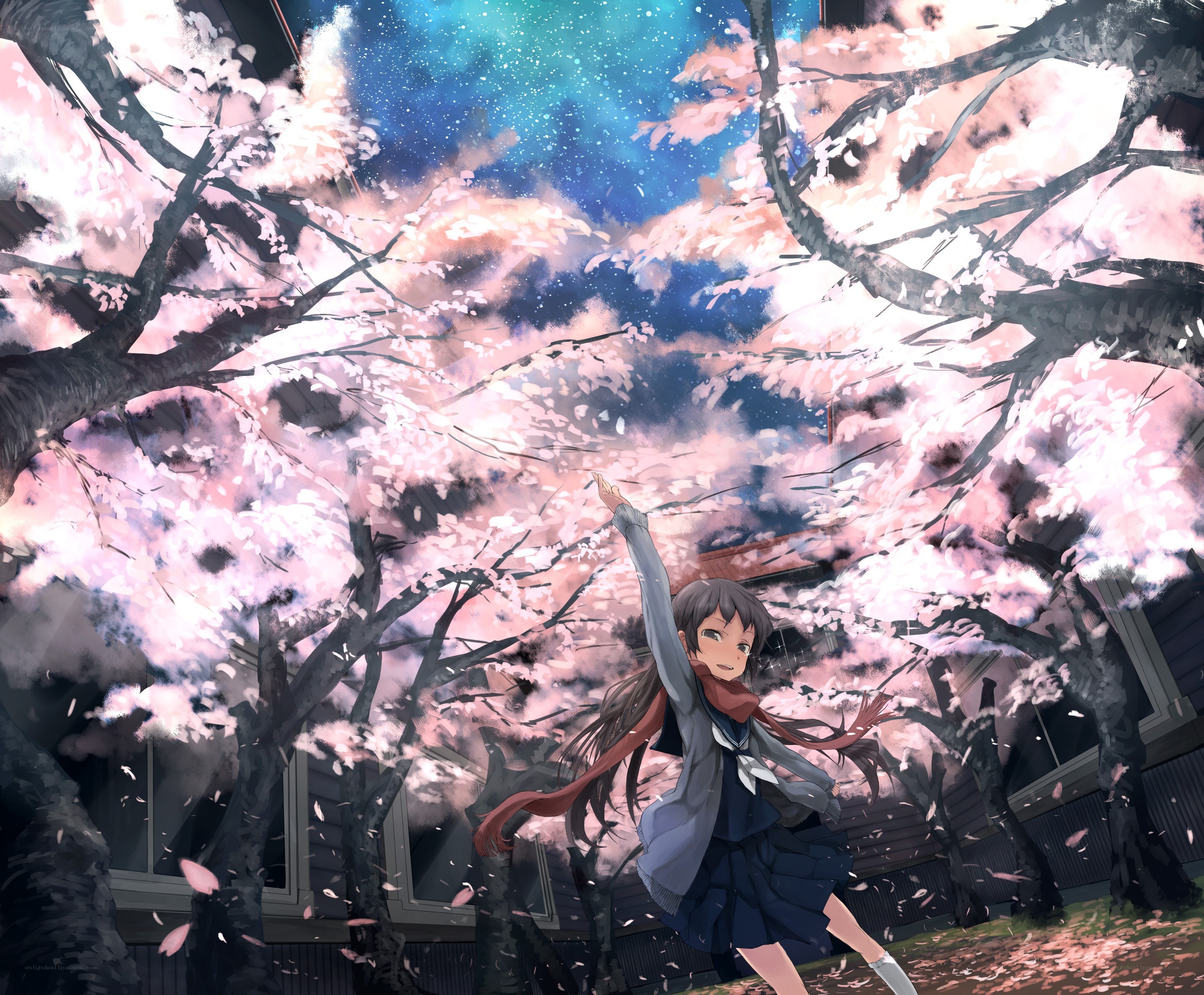 Girl under cherry blossoms