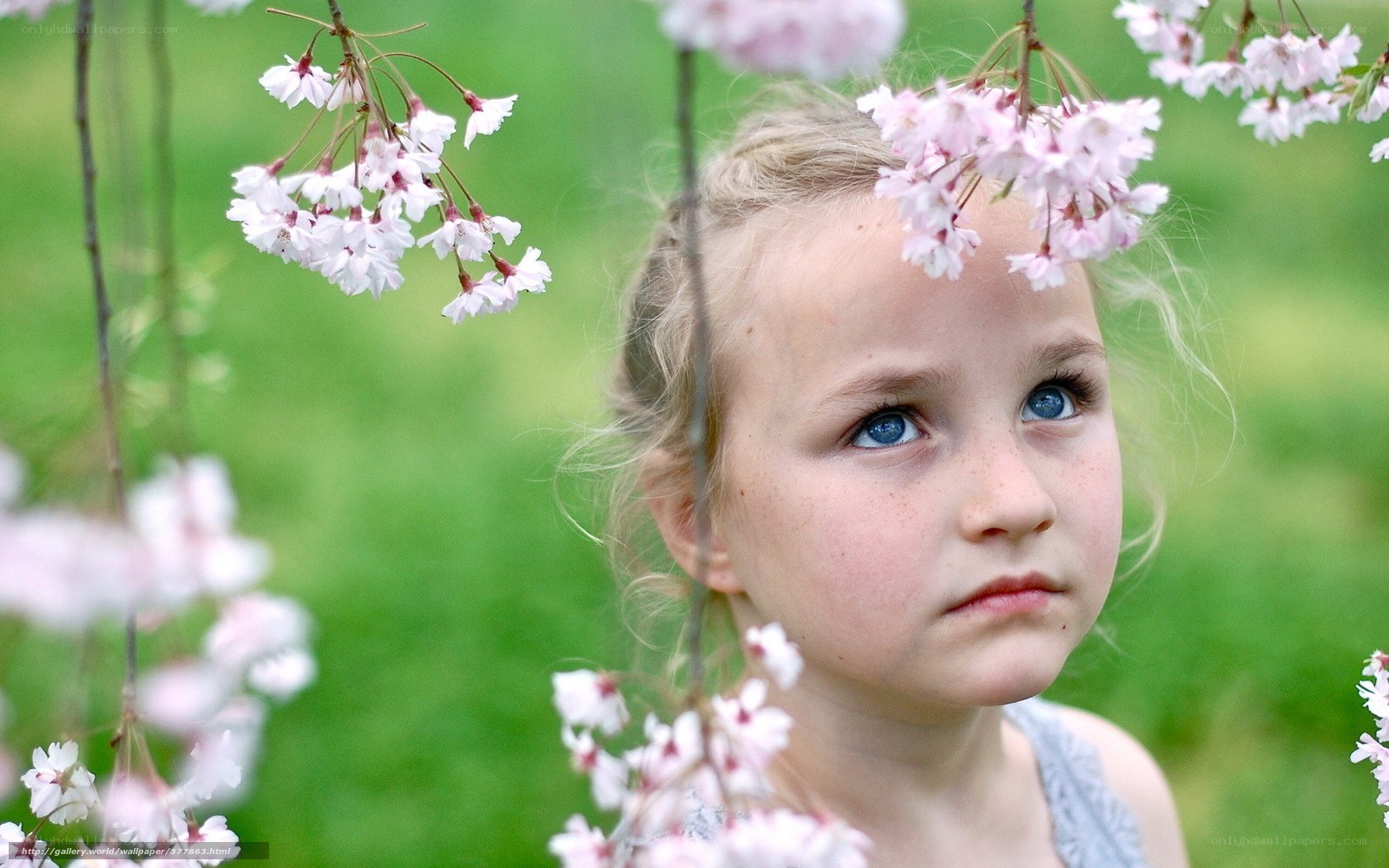 girl under cherry blossoms