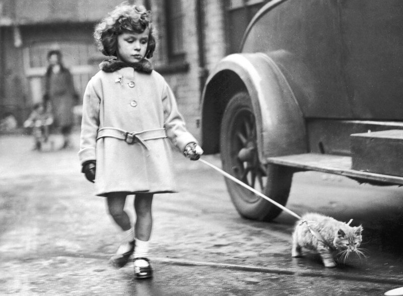 Girl Walking a Cat — Black
