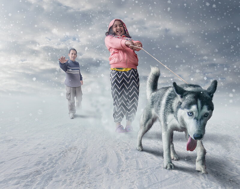 Girl Walking Husky