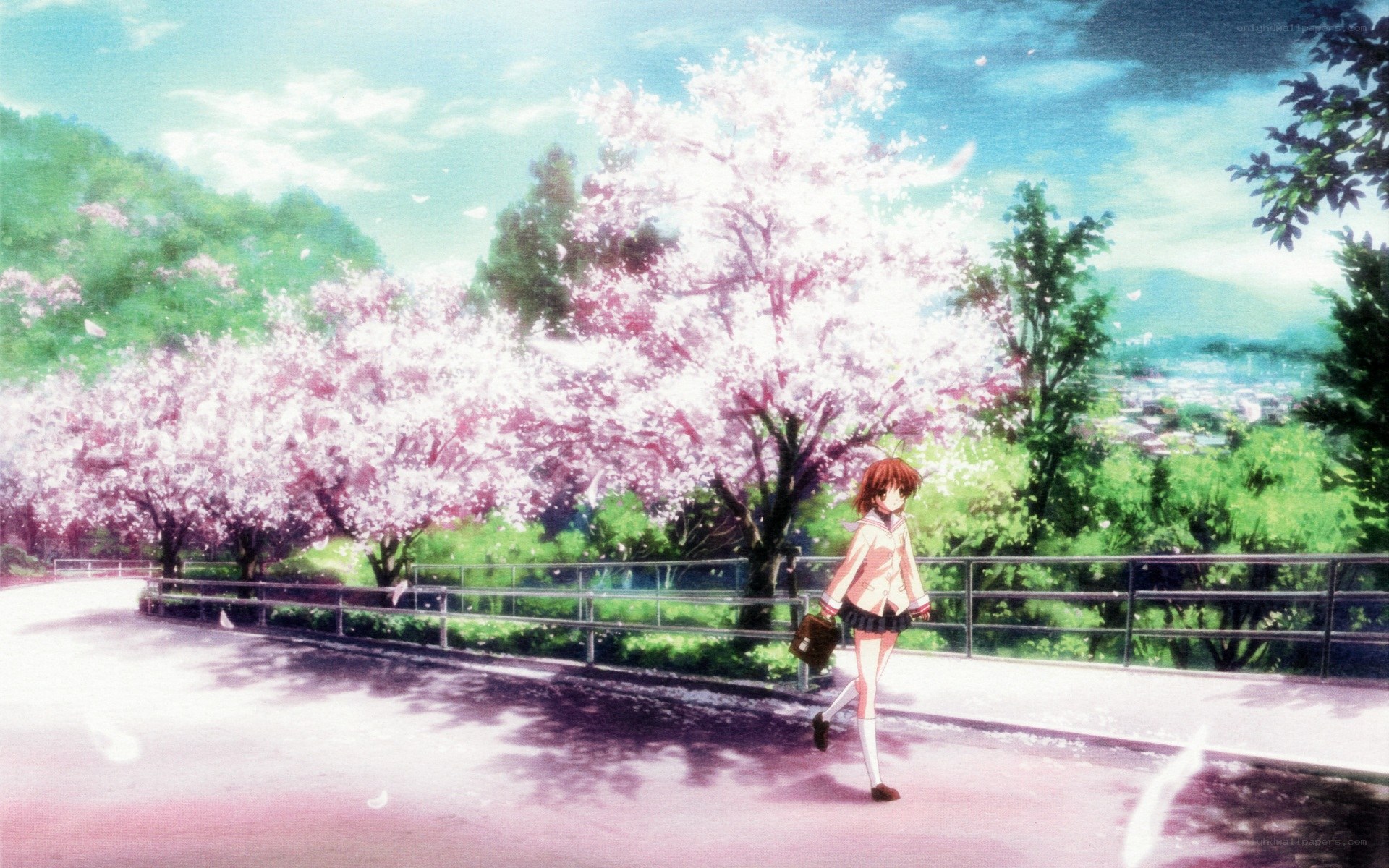 Girl walking under cherry blossoms