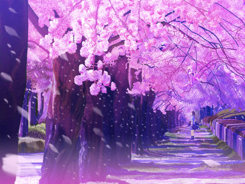 Girl Walking under Cherry Trees