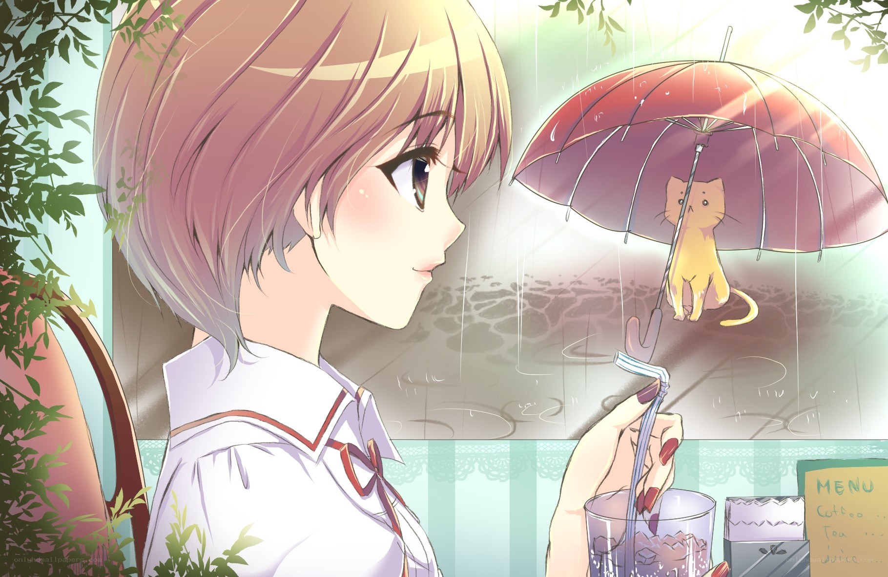 Girl watching cat in rain