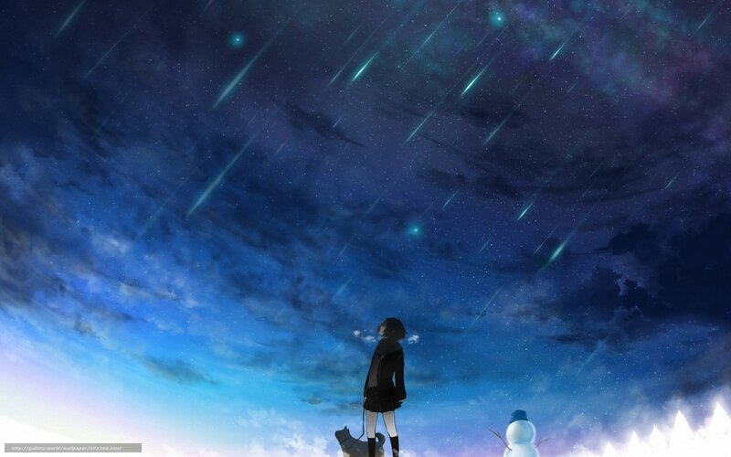 Girl Watching Meteor Shower — Blue, Serene, Night, Anime, Dog