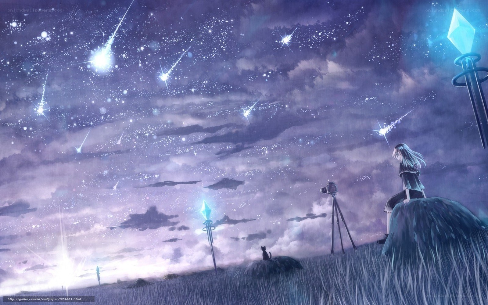 Girl watching meteor shower