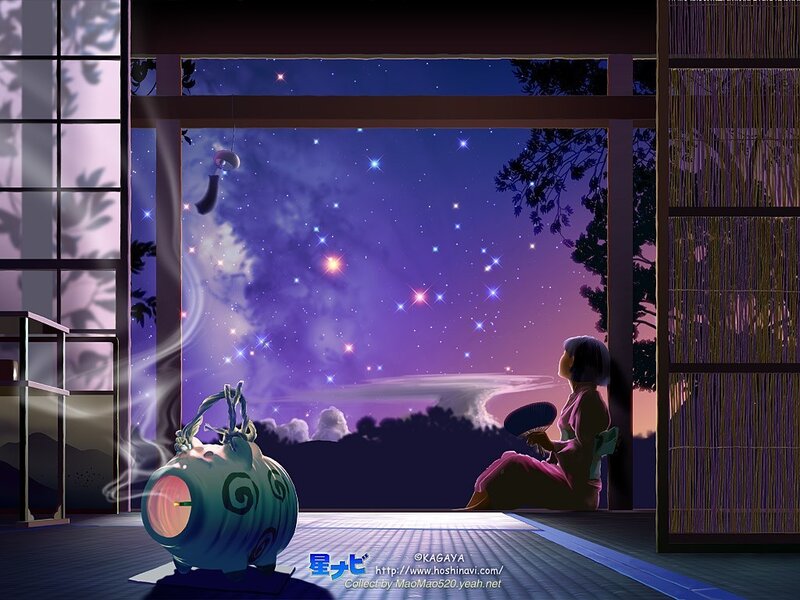 Girl watching stars at night