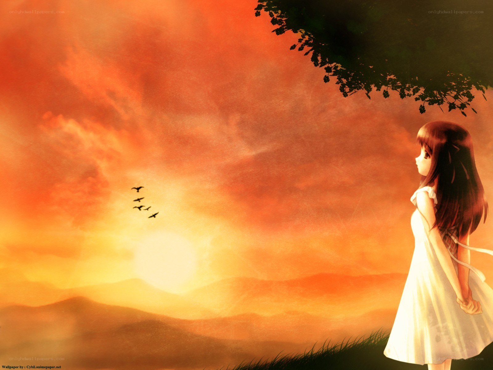 Girl watching sunset