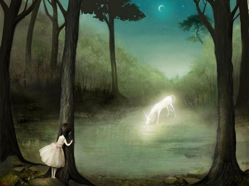 Girl Watching Unicorn