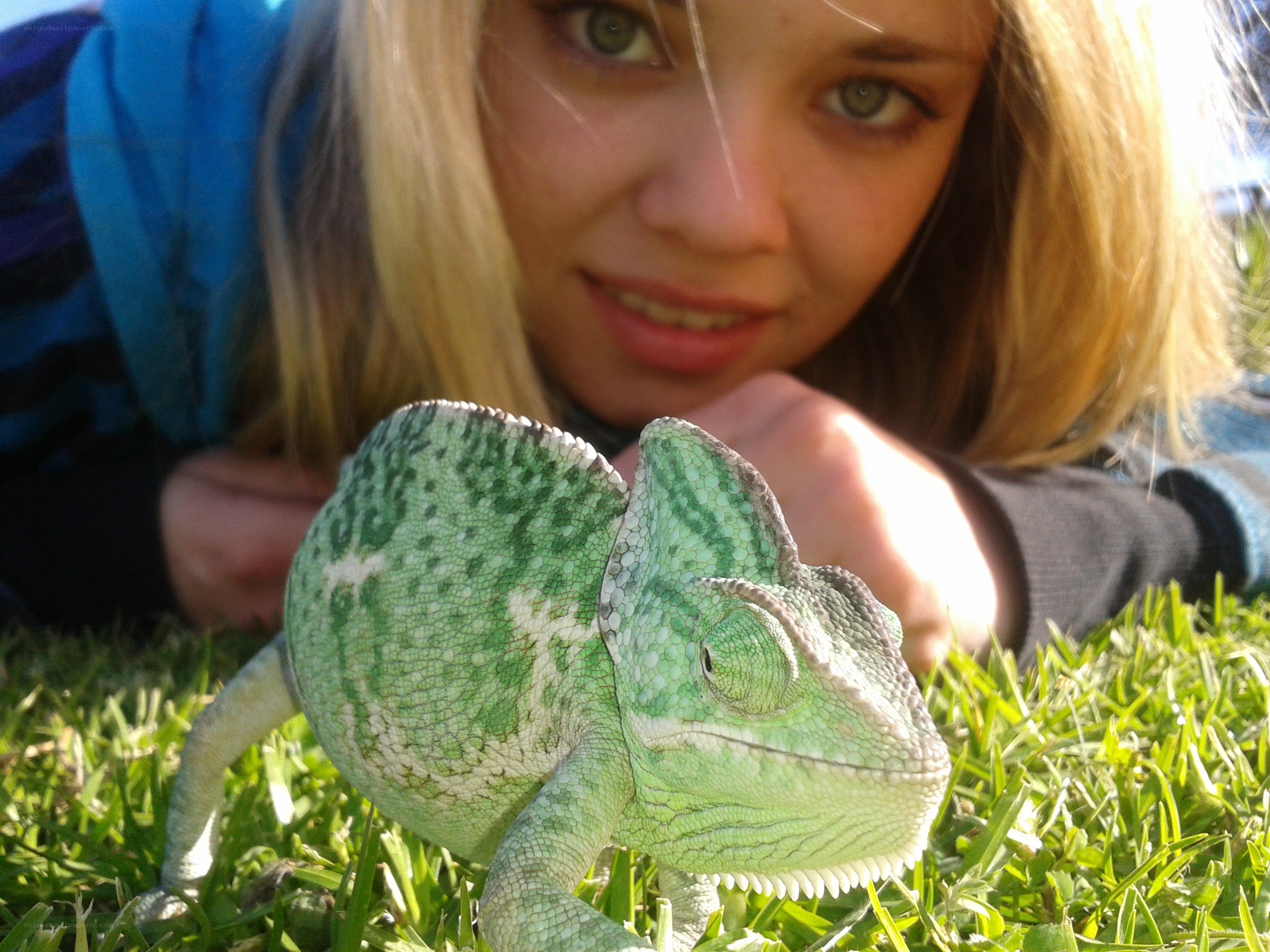 Girl with a chameleon