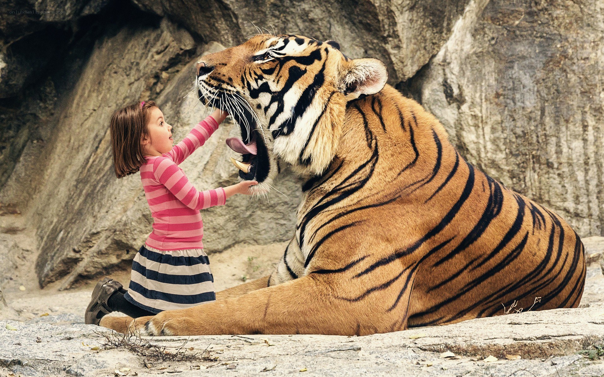 Girl with a tiger