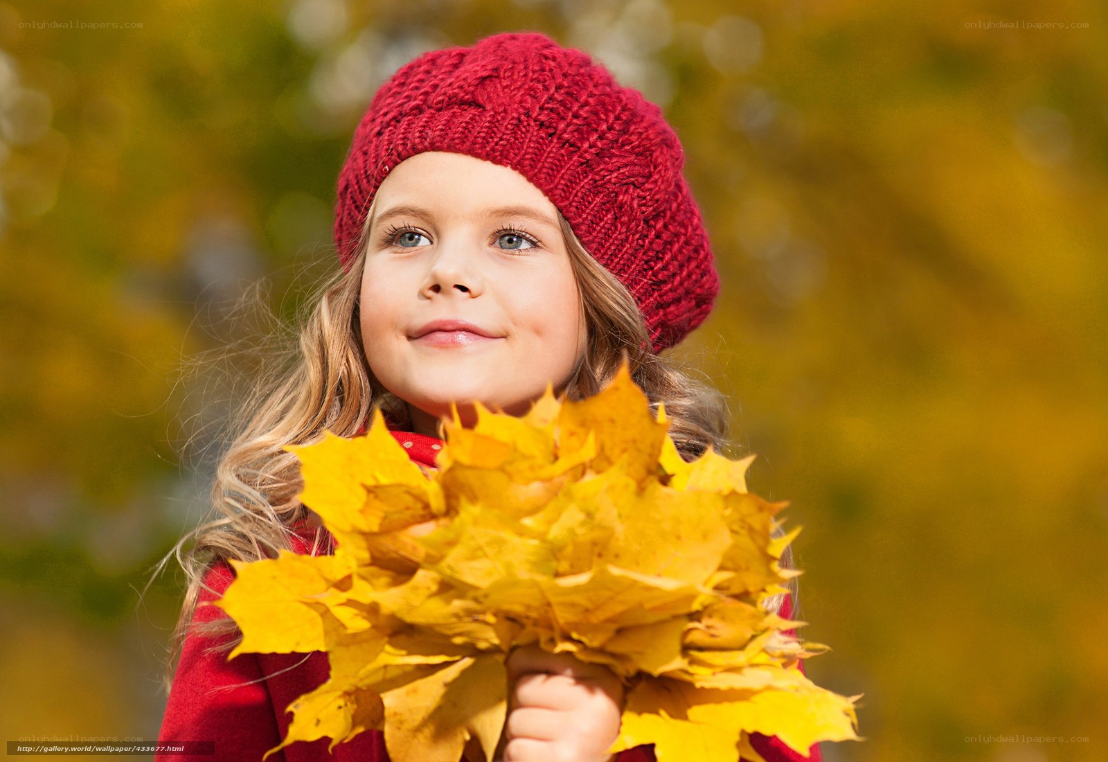 girl with autumn leaves