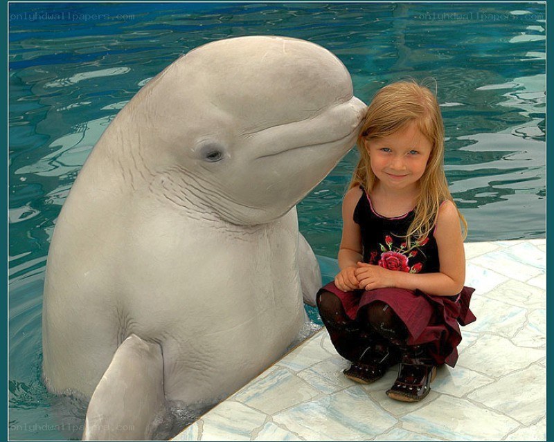 Girl with beluga whale