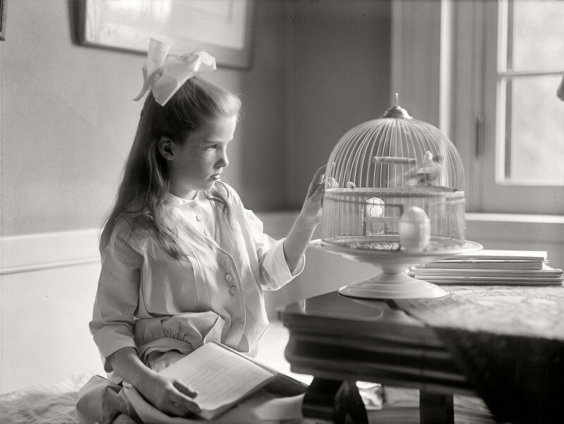 Girl with Birdcage