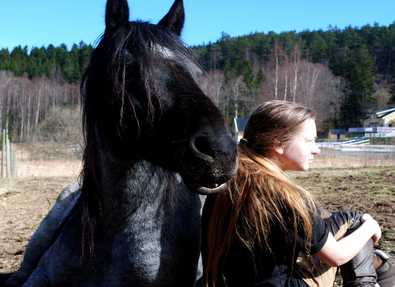 Girl with Black Horse — Serene, Spring