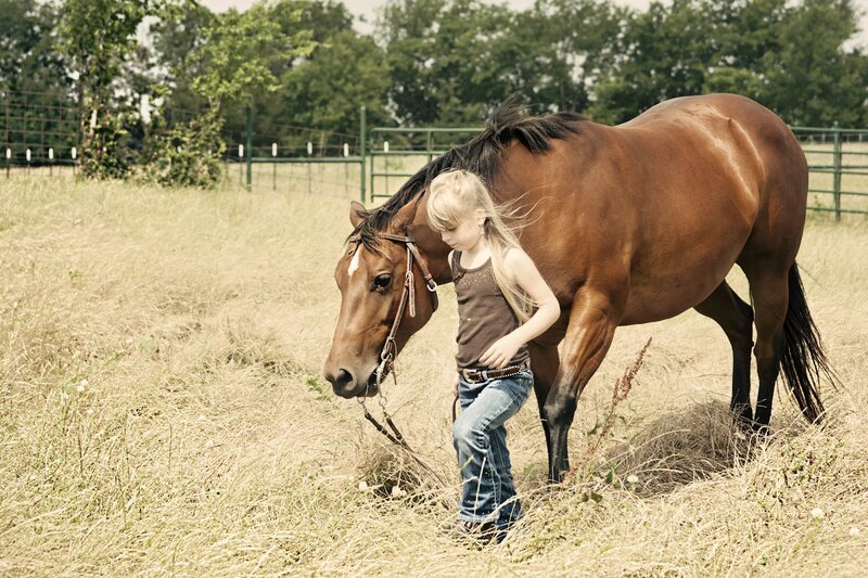 Girl with Brown Horse