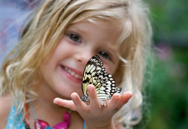 girl with butterfly on hand