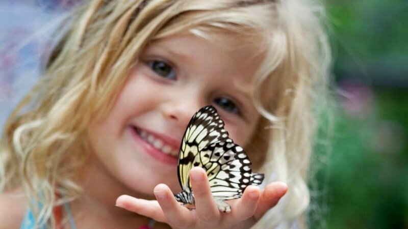 girl with butterfly on hand
