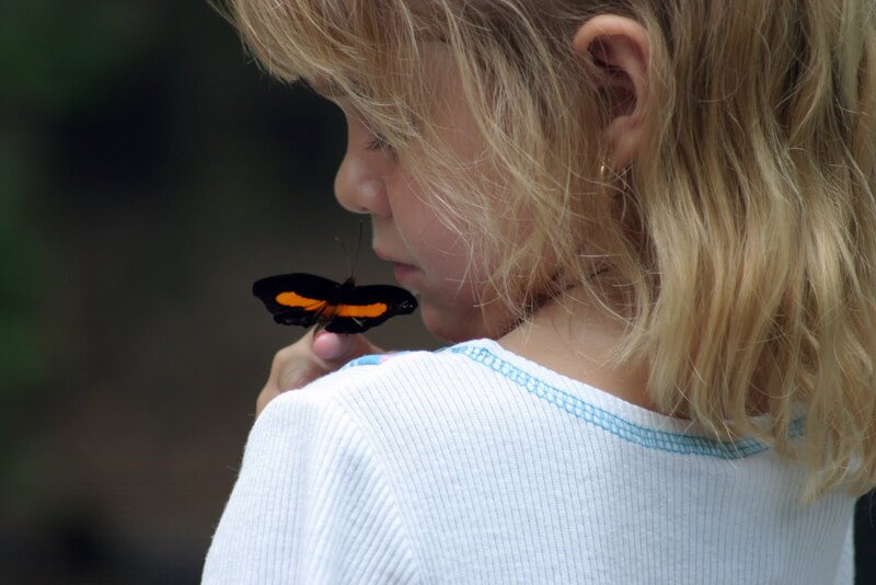 Girl with Butterfly — White, Calm