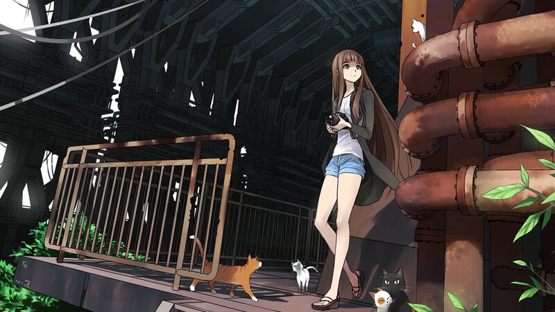 Girl with Camera and Cats — Brown, Calm