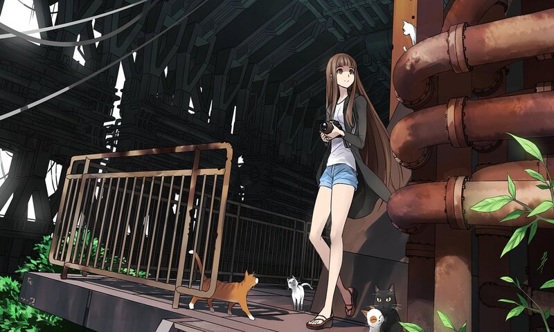 Girl with Camera and Cats — Brown