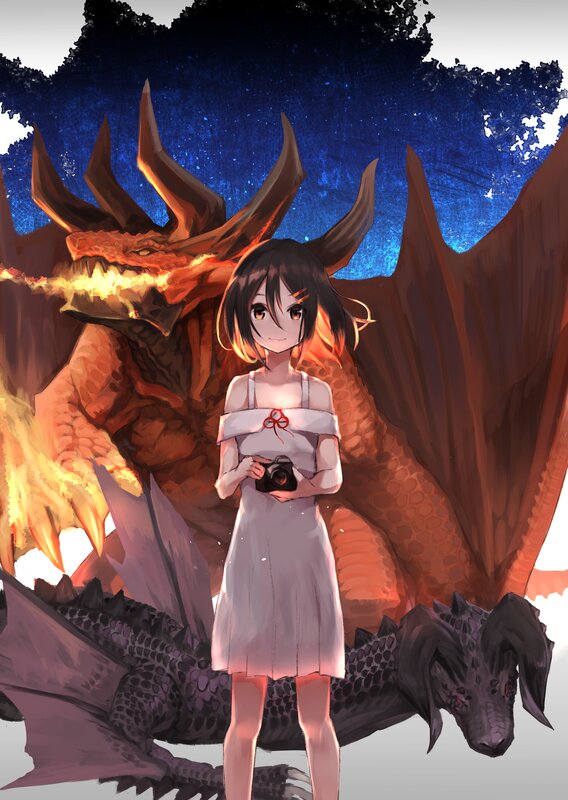 Girl with Camera and Dragons
