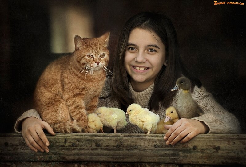 Girl with Cat and Chicks